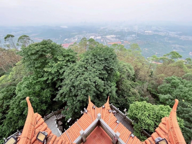從心出發(fā)，融入自然